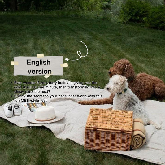 🐾 Pet Personality Test: Discover Your Pet's MBTI Type!