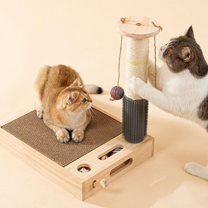 For Cat