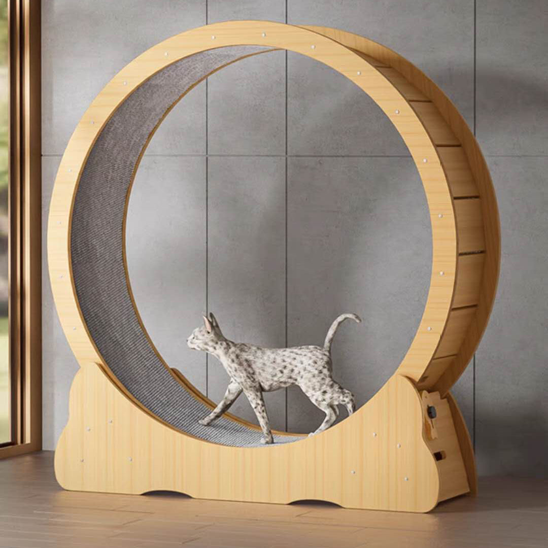 Wooden Exercise Wheel With Lock & Teaser Indoor Cat Treadmill