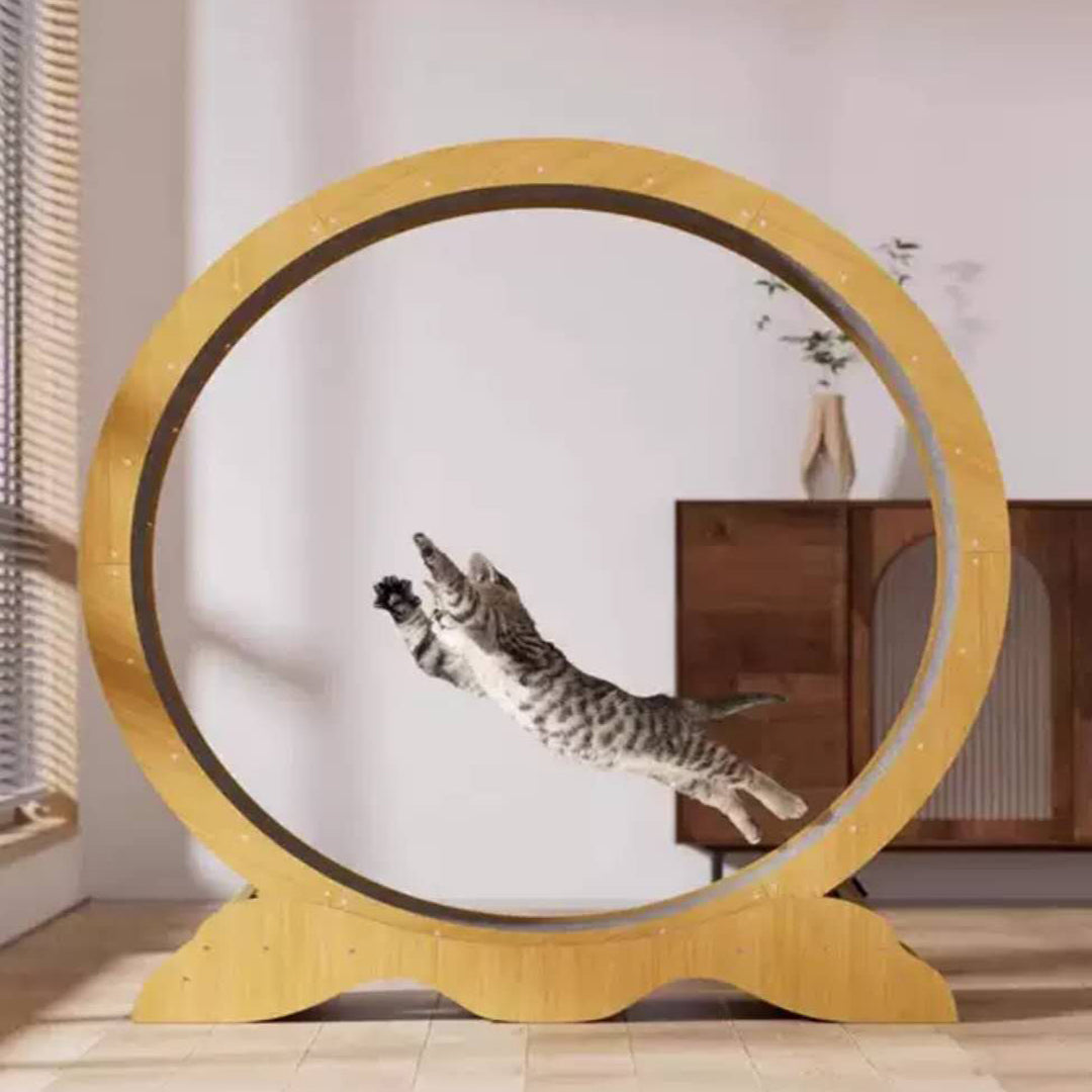 Wooden Exercise Wheel With Lock & Teaser Indoor Cat Treadmill