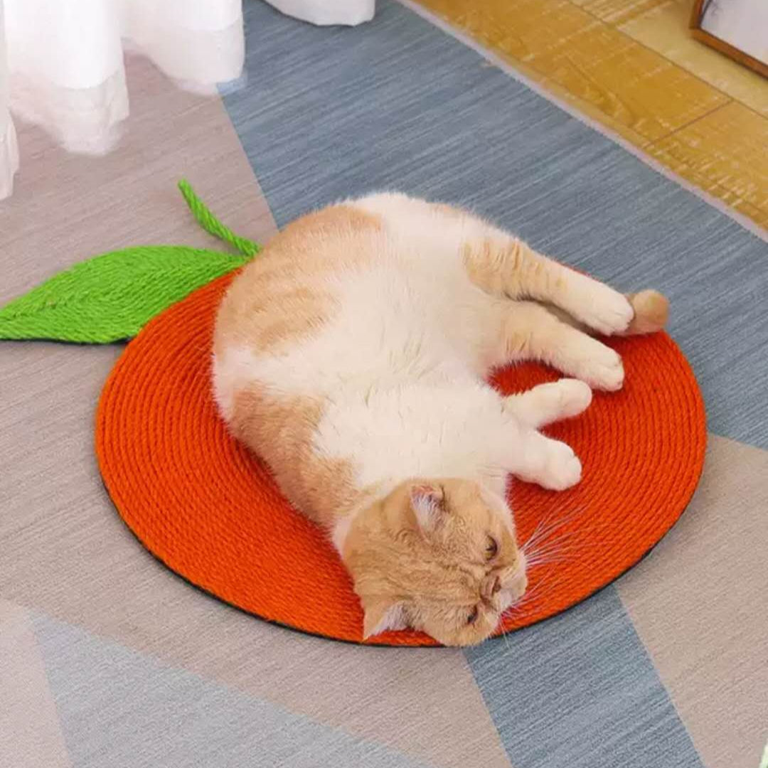 Cat Scratcher Mat Wall Mounted and Floor Natural Sisal Cat Scratching Pad Cat Toy