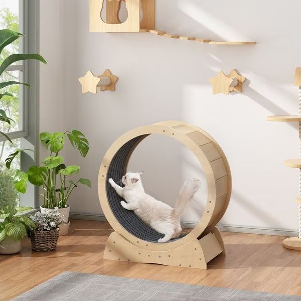 Wooden Exercise Wheel With Lock & Teaser Indoor Cat Treadmill