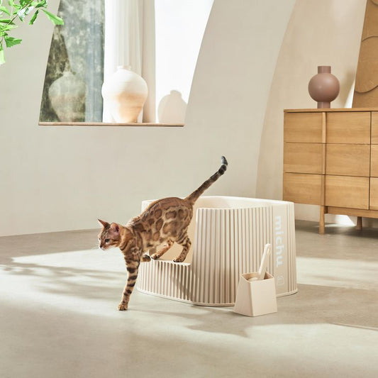 Large Cat Litter Box High Side Cat Bedpan