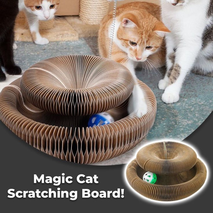 Magic Organ Cat Scratching Board Foldable Cat Scratcher Interactive Scratcher Cat Toy Cat Climbing