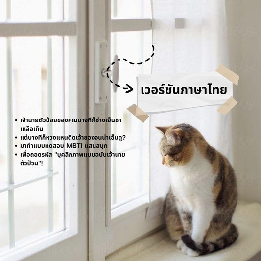 🐾 แบบทดสอบบุคลิกภาพน้องหมาแมว