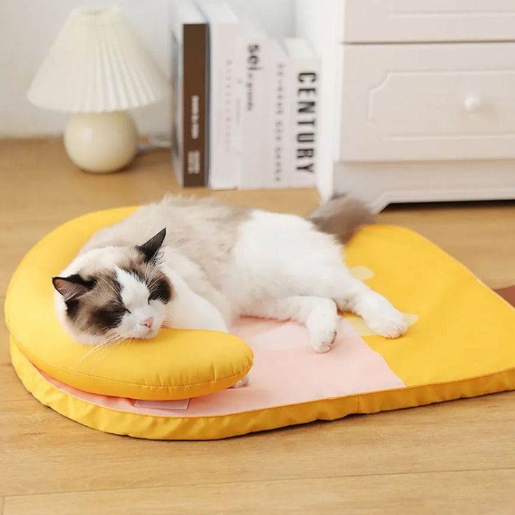 Why Cats Knead with Their Paws