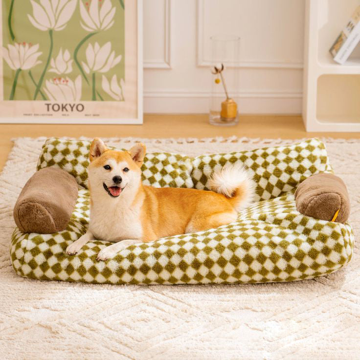 Understanding Your Pet’s Behavior