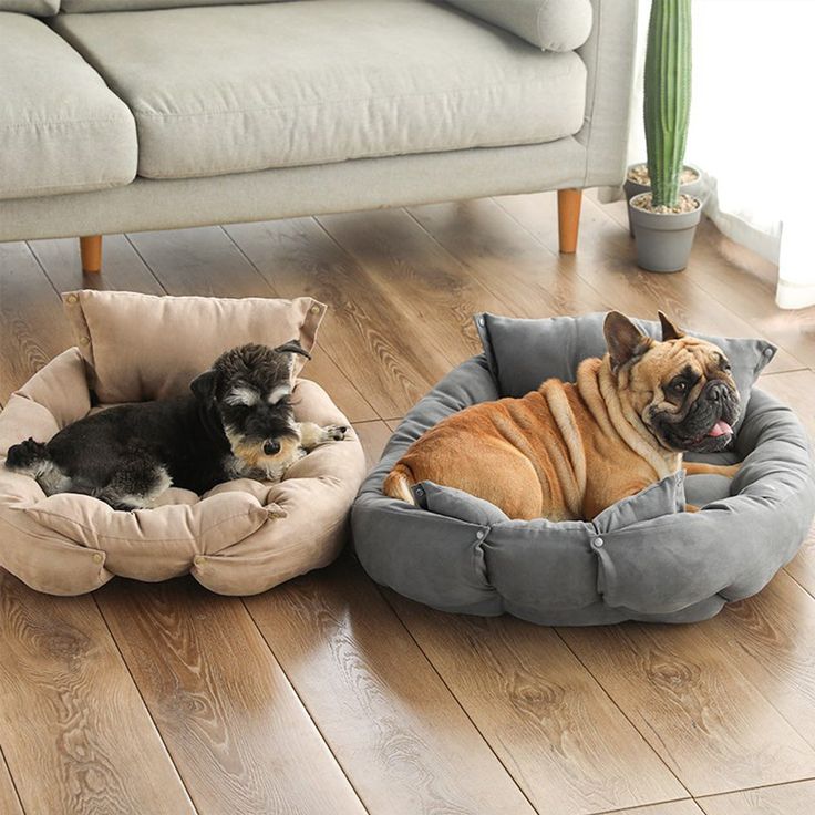 Bed & Cage