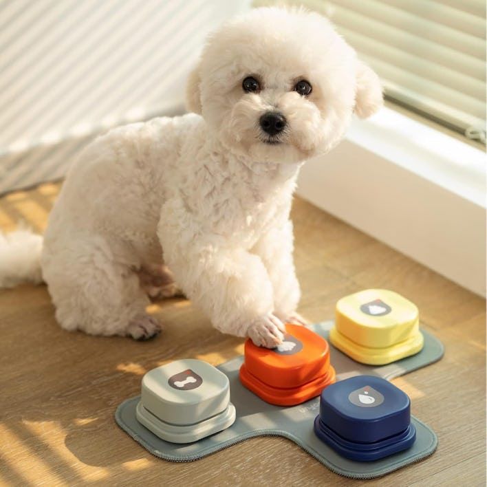Toy