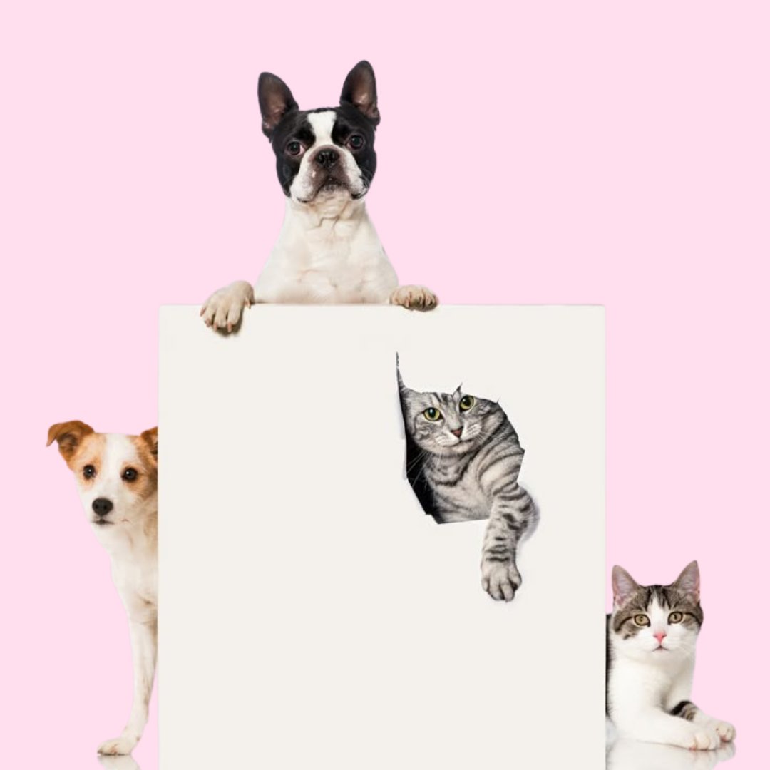 All