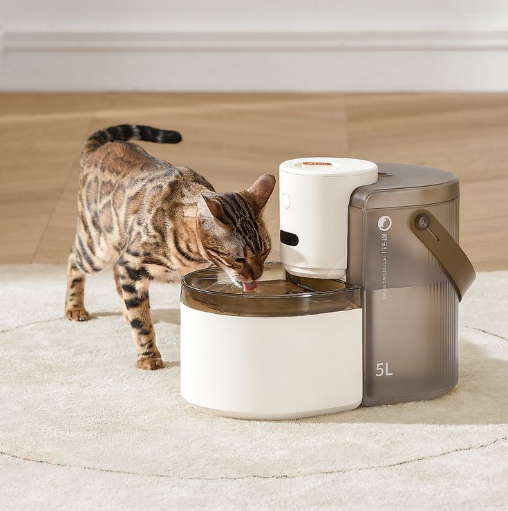Smart Feeder