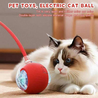 ของเล่นลูกบอลกลิ้งสำหรับแมวและสุนัขแสนฉลาด