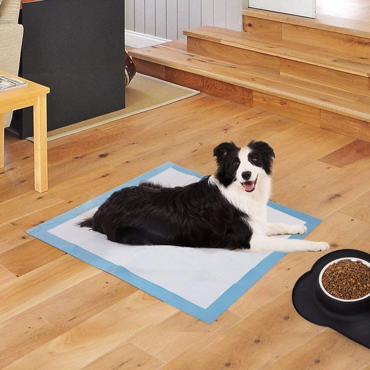 Dog Pee Training Pads Pet Puppy Pee Pads With Super Absorbency and Leakproof For Dogs, Cats, Rabbits