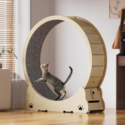 Wooden Exercise Wheel With Lock & Teaser Indoor Cat Treadmill