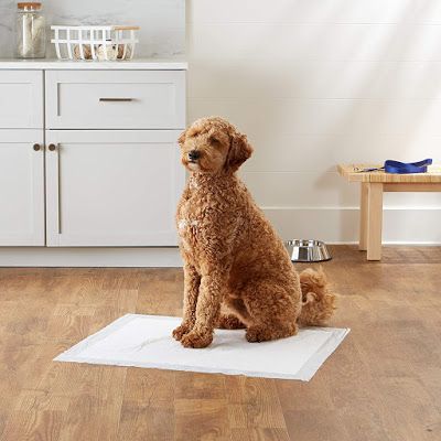Dog Pee Training Pads Pet Puppy Pee Pads With Super Absorbency and Leakproof For Dogs, Cats, Rabbits